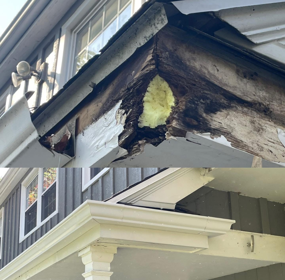 Website fascia board pic 1