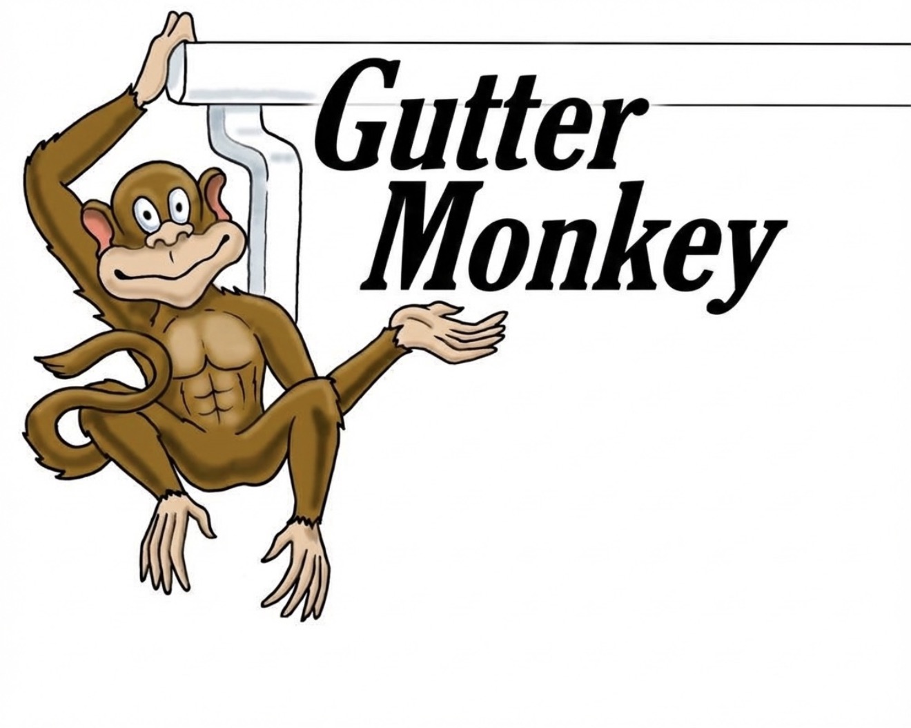 Great Lakes Gutter Filters